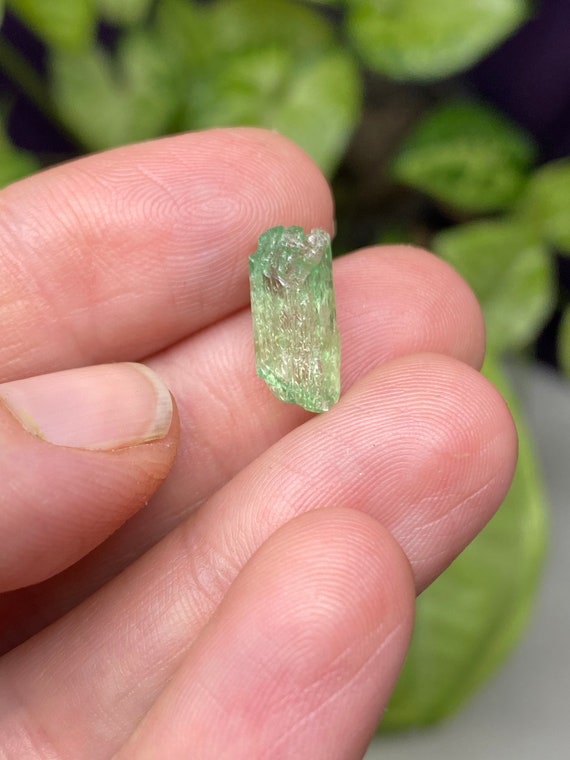 Rare Chromium Green North Carolina Hiddenite Crystal