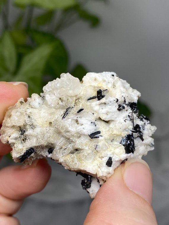 Albite with Tourmaline and Calcite
