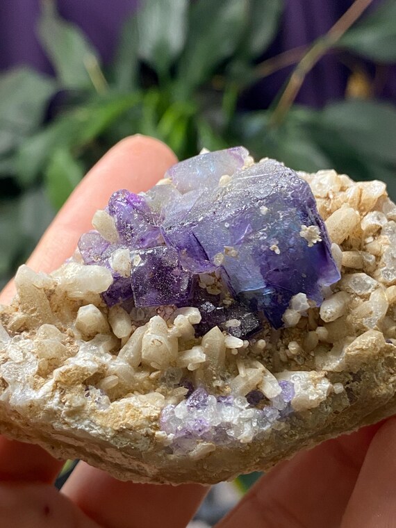 Brandberg Purple Fluorite and Quartz
