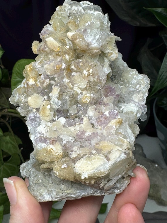 Poker Chip Calcite on Siderite with Amethyst and Rutile ~Ex Terry Ledford~Ledford’s Minerals