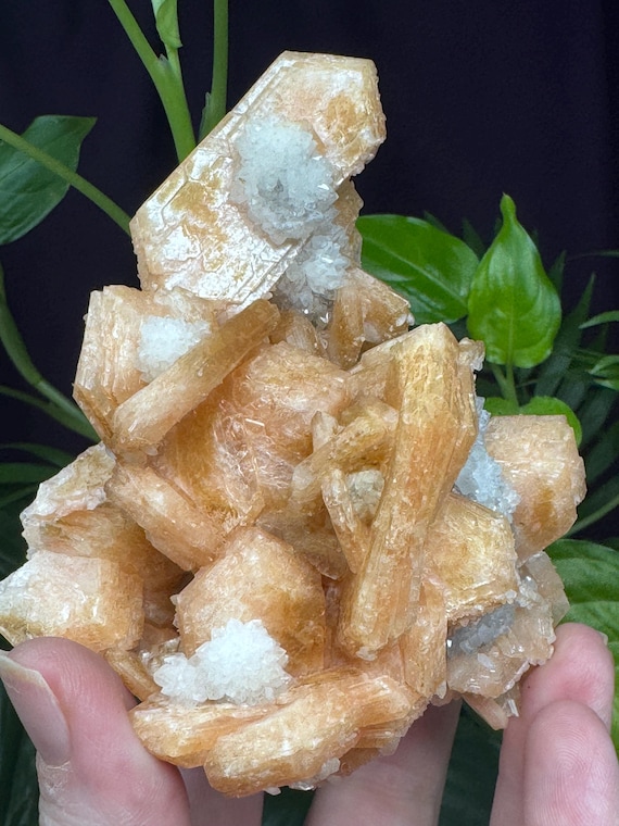 Stilbite with Smoky Quartz