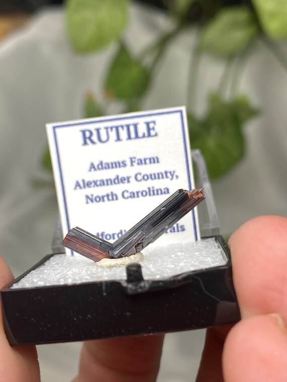 Adams Farm Red Rutile “V” from Hiddenite NC