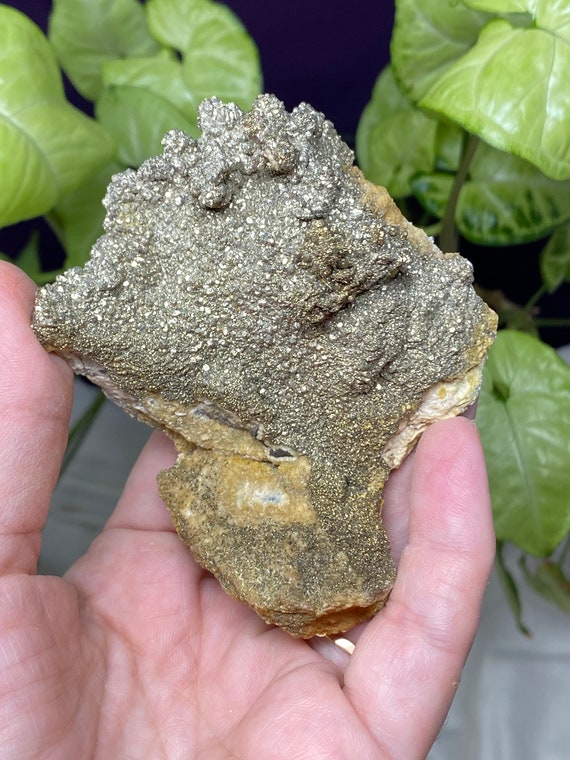 Poland Coral Barite with Pyrite