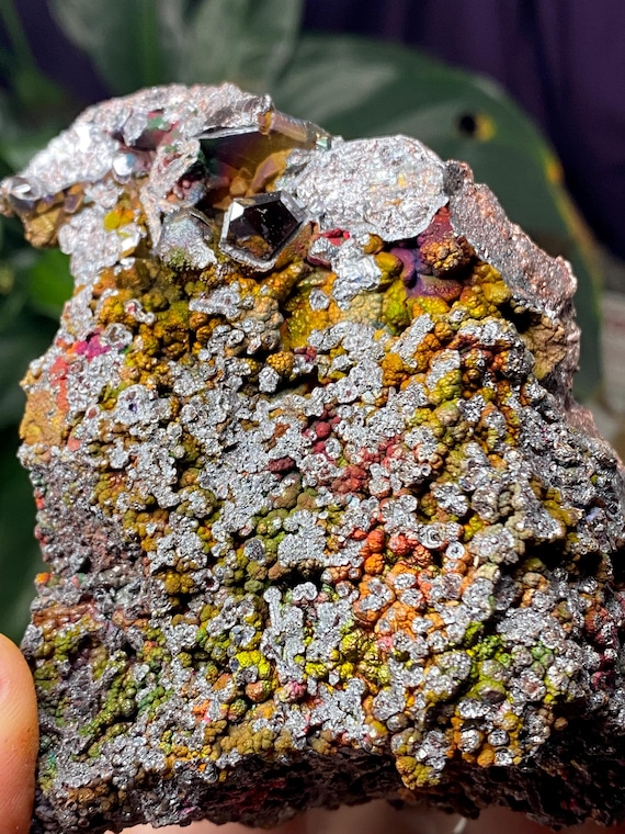 Beautiful Graves Mountain Rainbow Iridescent Hematite with RutileEx Terry Ledford Collection~Nature Made Goods~Ledford's Minerals
