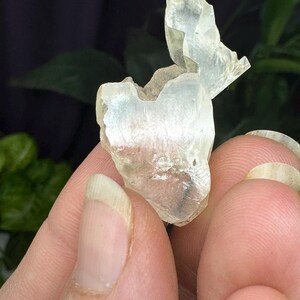 Fine Calcite~Crystal River #2 Quarry~Lecanto, Citrus County, Florida~Rare Locality