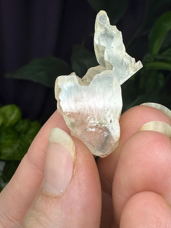 Fine Calcite~Crystal River #2 Quarry~Lecanto, Citrus County, Florida~Rare Locality