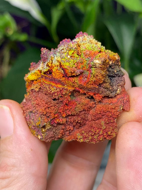 Graves Mountain Quartz with Rainbow Iridescent Hematite~Ex Terry Ledford Collection~Nature Made Goods~Ledford's Minerals