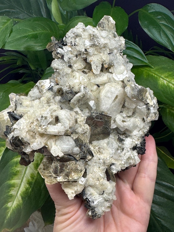 Calcite and Albite Cluster with Rutile, Mica, and Black Tourmaline~Hiddenite, NC~Ex Terry Ledford Collection~Ledford’s Minerals