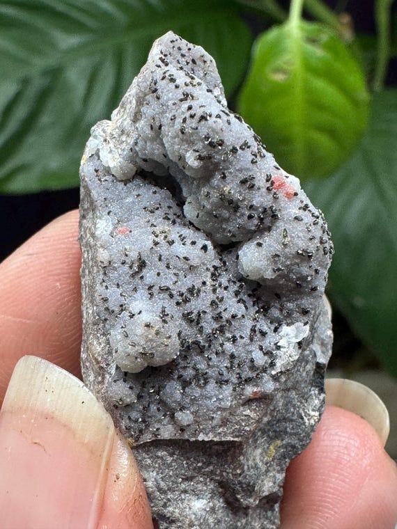 Quartz after Wulfenite Pseudomorph on Chalcedony~4.5 x 2cm~The Finch Mine, Gila County, Arizona~Ledford’s Minerals