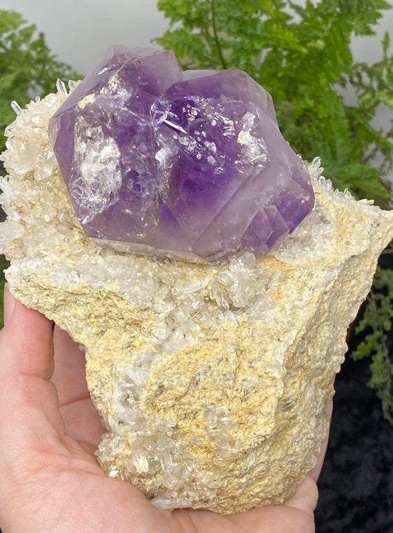 Amethyst Cluster