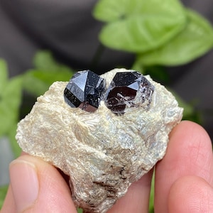 Puede incluir: Dos cristales negros brillantes y oscuros sobre una roca blanca, rugosa y texturizada. Los cristales tienen la forma de una pirámide.