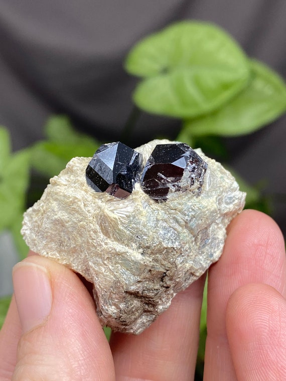 Graves Mountain Kyanite and Pyrophyllite with Rutile