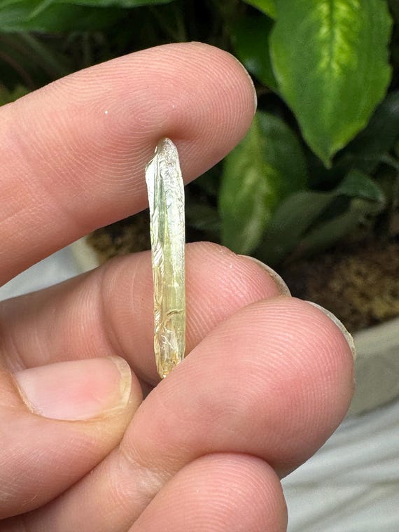 Rare North Carolina Hiddenite Crystal~Ex Terry Ledford Collection~Ledford’s Minerals