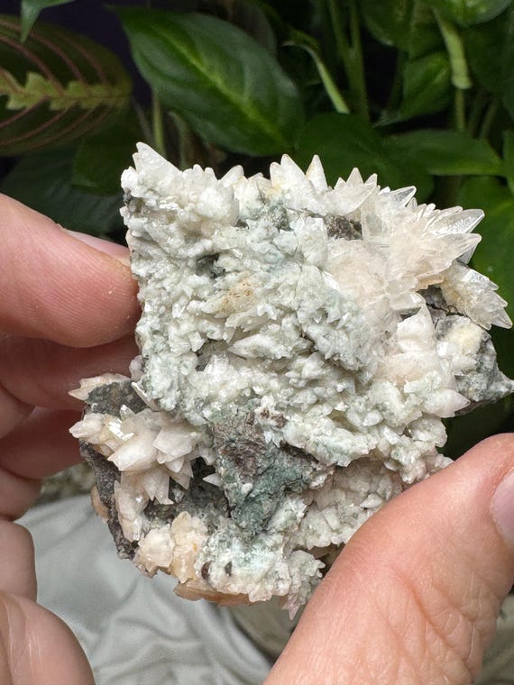 Dogtooth Calcite Cluster~Ledford’s Minerals