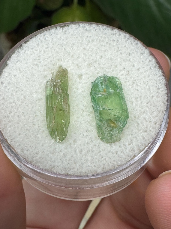 Rare North Carolina Hiddenite Crystal Ex Terry Ledford Collection~Crystalline Dream Minerals~Ledfords Minerals