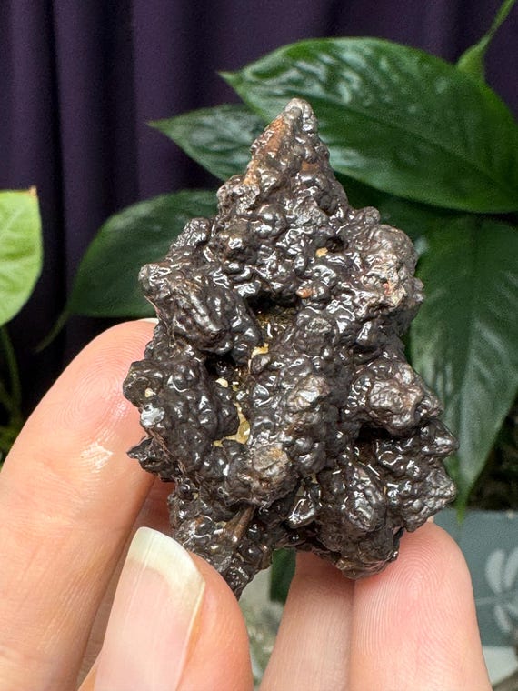 Egyptian Prophecy Stones~Marcasite and Pyrite Pseudomorph Limonite~Ledford’s Minerals