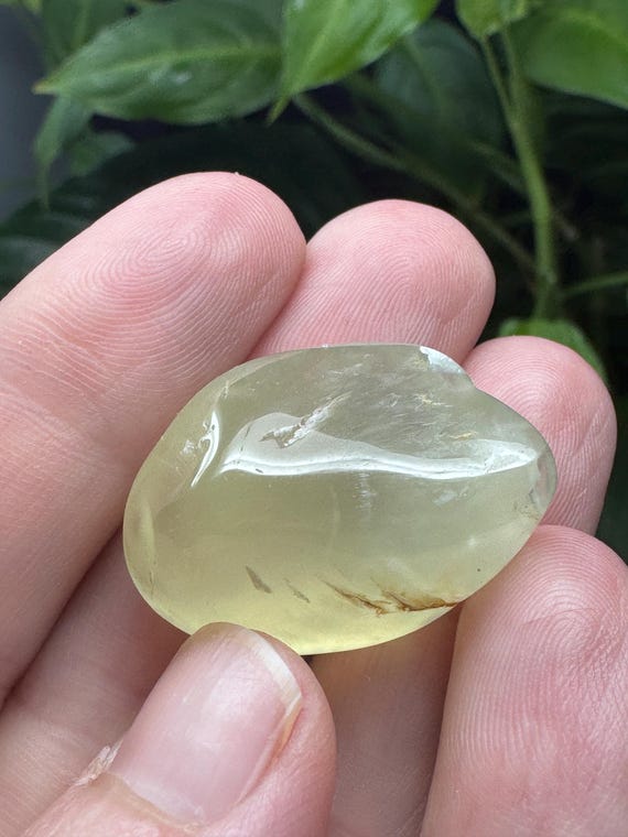 Polished Prehnite~Wave Hill, Northern Territory~Australia~Nature Made Goods~Ledford’s Minerals
