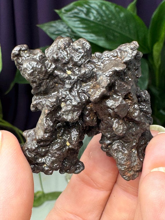 Egyptian Prophecy Stones~Marcasite and Pyrite Pseudomorph Limonite~Ledford’s Minerals