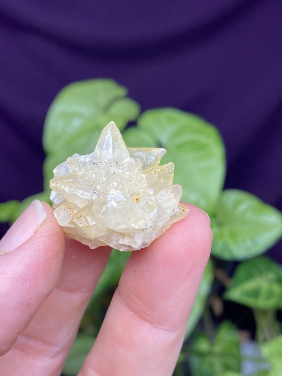 RARE Woodlawn Quarry NC Calcite Cluster