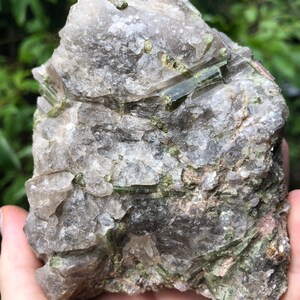 Tourmaline in Quartz uit Pakistan
