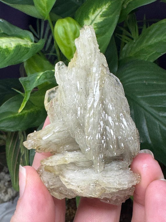 Lustrous Barite Cluster~Morocco~Nature Made Goods~Ledfords Minerals