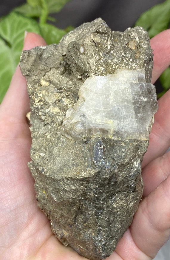 North Carolina Pyrite with Siderite