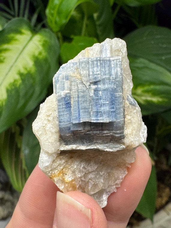 Kyanite~Buncombe County NC ~Ex Terry Ledford Collection~Nature Made Goods~Ledford’s Minerals