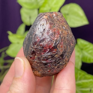 Large Almandine Garnet~Twilley’s Mine