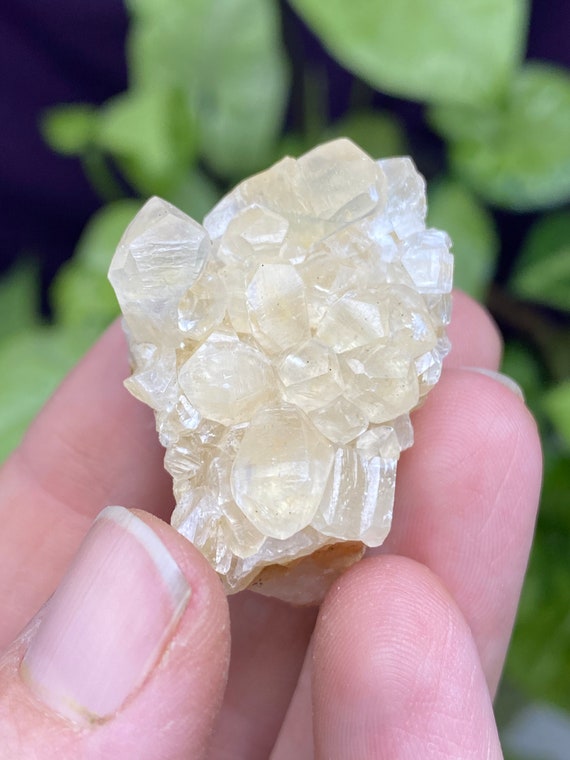 RARE Woodlawn Quarry NC Calcite Cluster