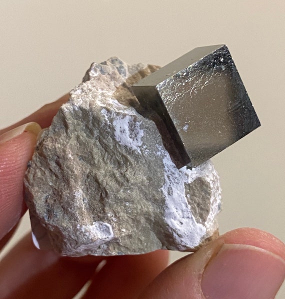 Pyrite on Matrix