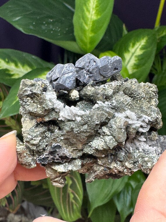 Galena and Pyrite~Morocco~Nature Made Goods~Ledfords Minerals