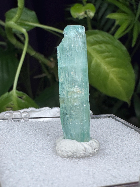 Emerald~Hiddenite, North Carolina~Ledford’s Minerals~Ex Reitzel Collection