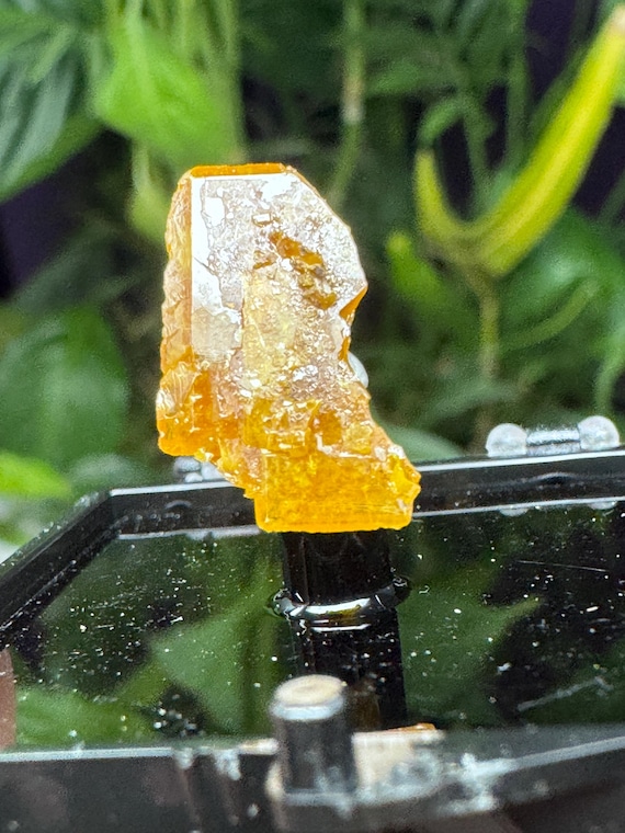 Vibrant Orange~Mammoth Arizona~Wulfenite Cluster Thumbnail~Nature Made Goods~Ledfords minerals