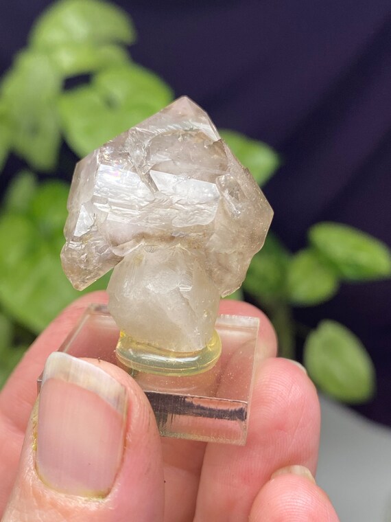 Hallelujah Junction Nevada Smoky Quartz Scepter