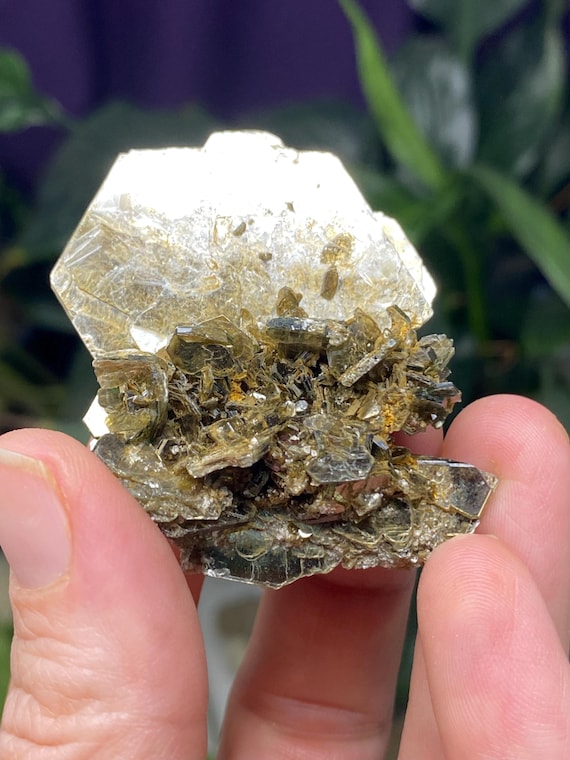 NAEM(North Carolina Emerald Mine) Green Mica Cluster