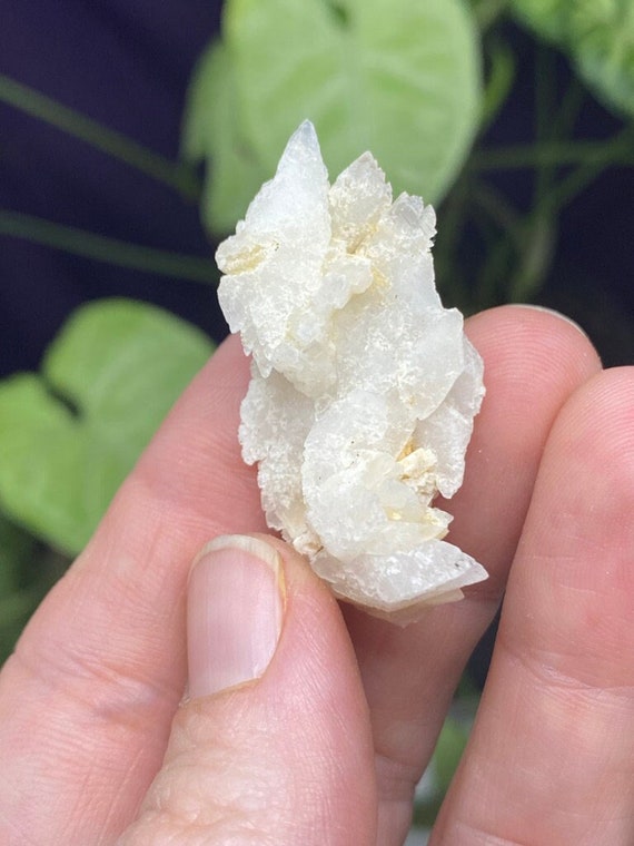 Etched Kentucky Dogtooth Calcite Cluster