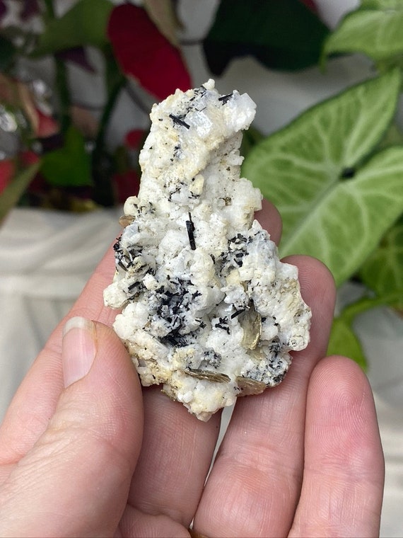 Albite with Tourmaline