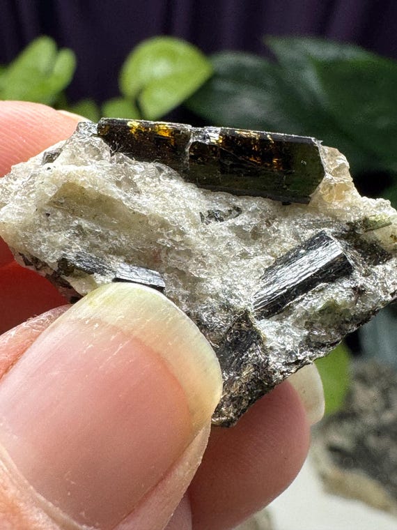 Tourmaline~North Carolina Crabtree Emerald Mine~Ex Terry Ledford Collection~Ledford’s Minerals