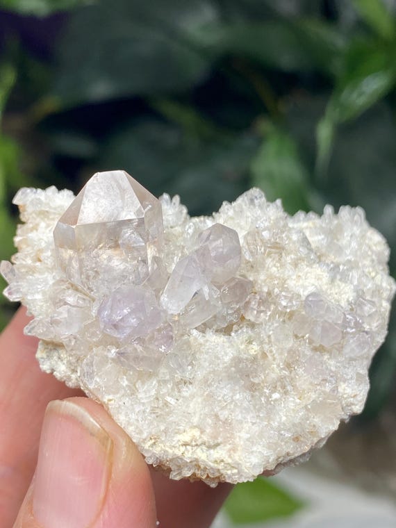 Jackson’s Crossroads Amethyst with Druzy