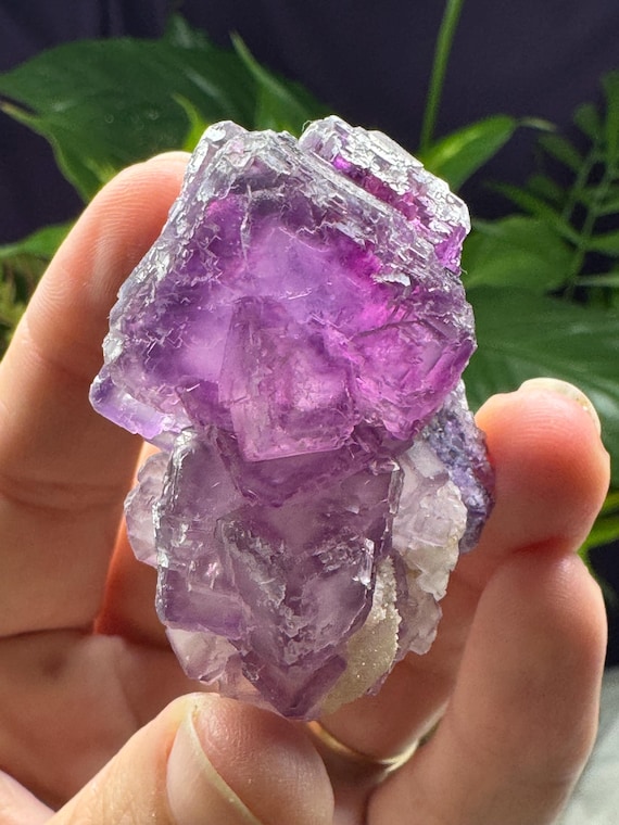 Purple Fluorite~Elmwood Mine~Smith County, Tennessee~Ledford’s Minerals