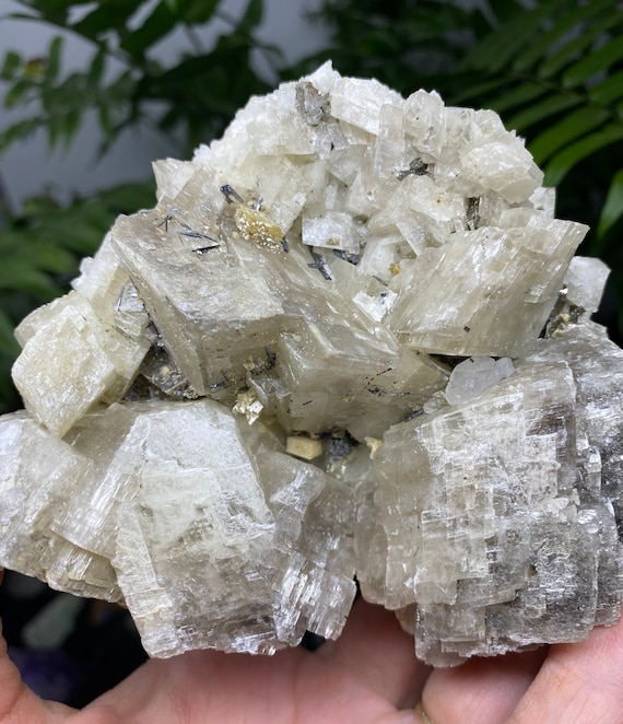 Siderite with Rutile and Calcite