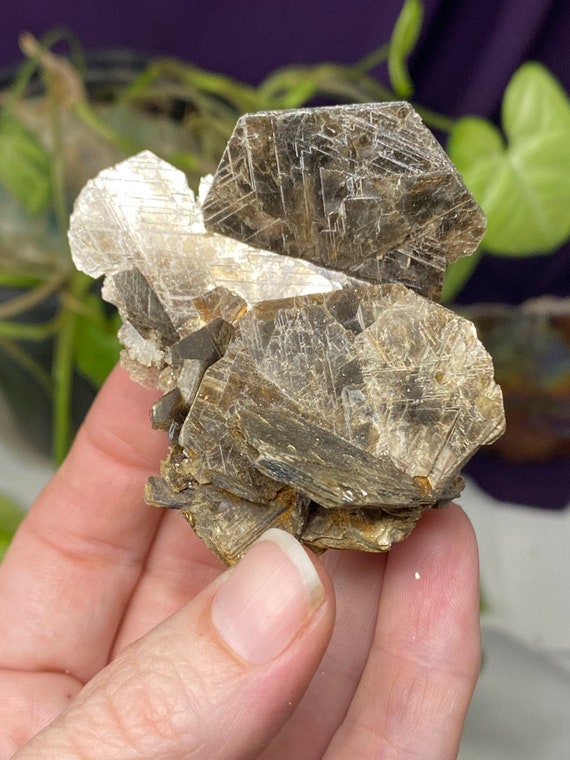 North Carolina Mica Cluster with Quartz and Albite