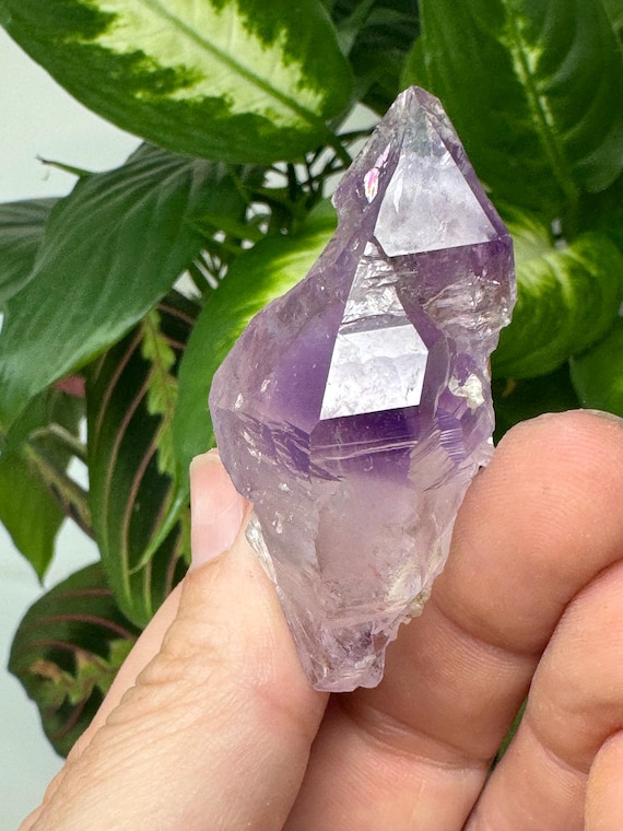 Jackson’s Crossroads Amethyst crystal-Straight from the Source~Ledford’s Minerals