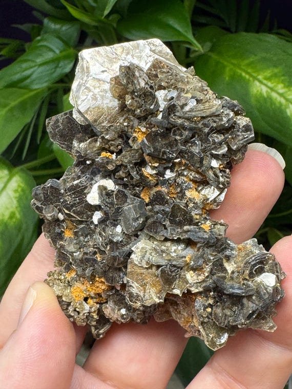 Lustrous Hiddenite North Carolina Green Mica Cluster-Ex Terry Ledford Collection~Ledford’s Minerals