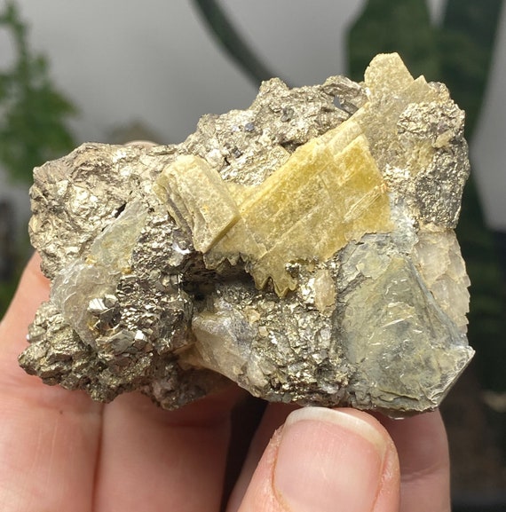 North Carolina Pyrite with Mica and Siderite