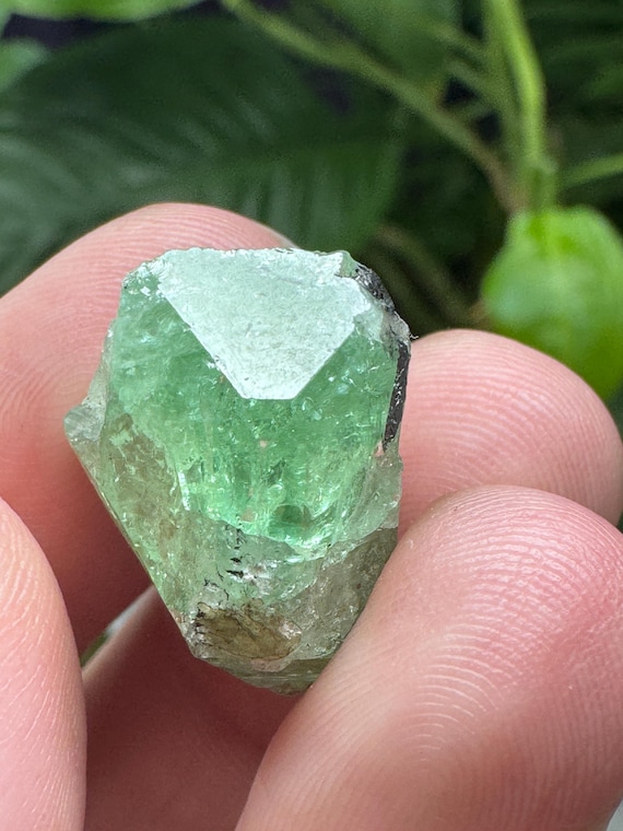 Tsavorite~Merelani Hills~Tanzania~Nature Made Goods~Ledford’s Minerals