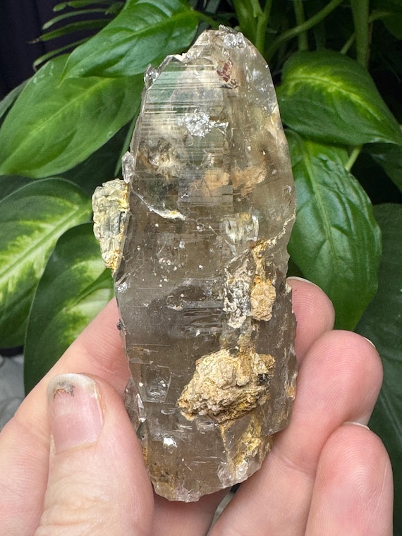 Hiddenite Quartz Crystal with Red Rutile and Inclusions, Ex Terry Ledford Collection (7.75 x 3.25cm)