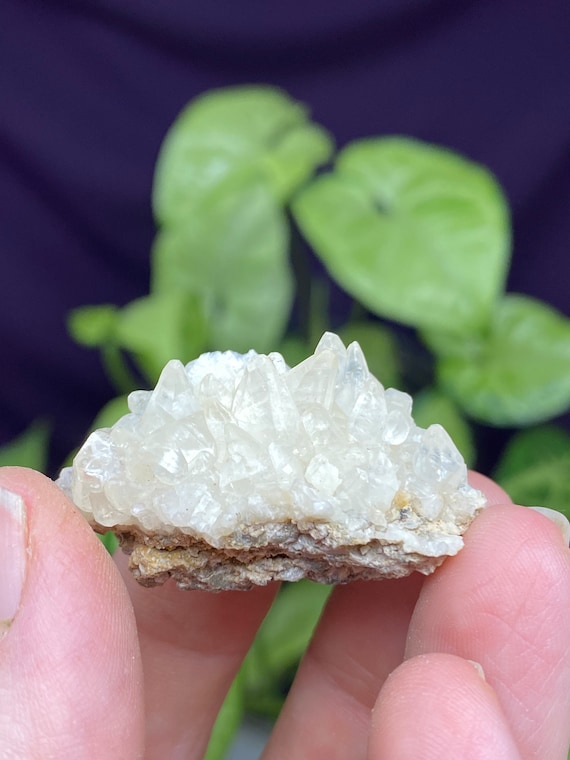 RARE Woodlawn Quarry NC Calcite Cluster