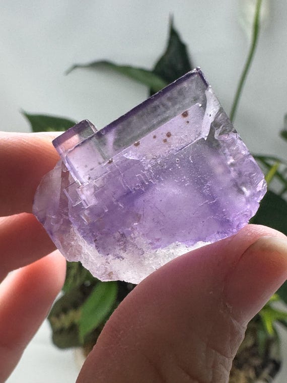 Purple Hasties Quarry Illinois Fluorite with UV Reactive Petroleum Inclusions~Ledford’s Minerals