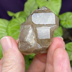 Hallelujah Junction Nevada Smoky Quartz